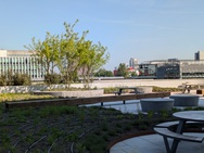 Google Pixel 8a cameratest zoomfunctie dagfoto's