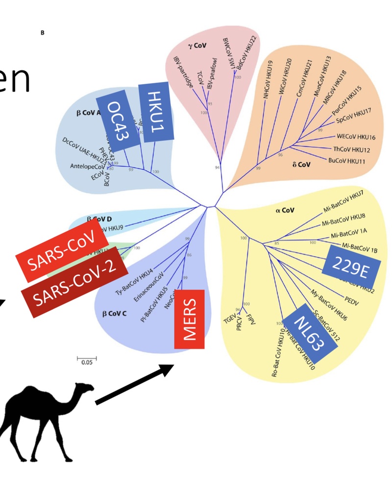 Afbeeldingslocatie: https://tweakers.net/i/8HrknV_FO0BMABS7pSSMK_xO9CE=/800x/filters:strip_icc()/f/image/p9qcRg8ZablaqPPSVHI3p1lb.jpg?f=fotoalbum_large