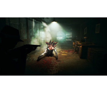 The Sinking City, PS4