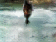 ai-video-gifs