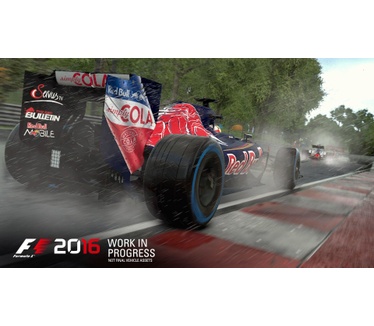 F1 2016 Limited Edition, Windows