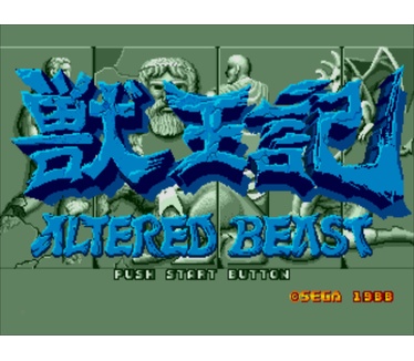Sega Mega Drive Collection Vol.1, PC