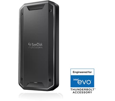 Sandisk SDPS31H-001T-GBC1D