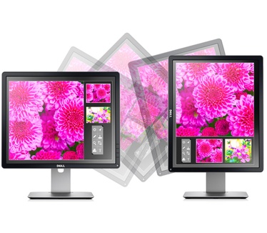 Dell P1914S