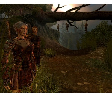 Dragon Age: Origins