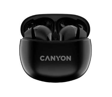 Canyon CNS-TWS5B