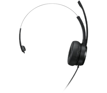 Lenovo 100 Mono