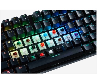 Glorious PC Gaming Race The Glorious GMMK-TKL
