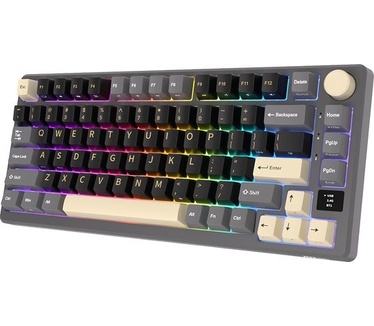 Royal Kludge RK-M75 Phantom Gaming Keyboard K Silver switch