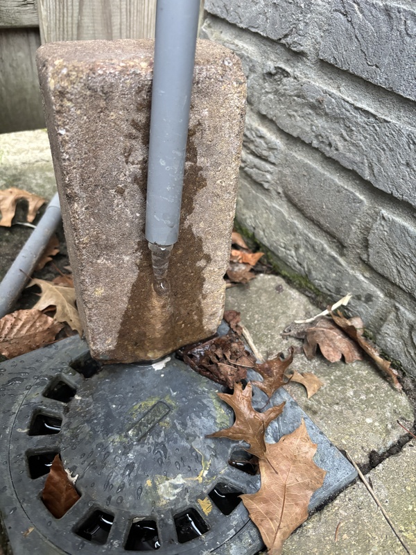 Afbeeldingslocatie: https://tweakers.net/i/8Uc1iKUjCzlSpaX-enj4Tv_i4bw=/x800/filters:strip_icc():strip_exif()/f/image/uqXi2LOjr02v5vbCTAD56oeq.jpg?f=fotoalbum_large