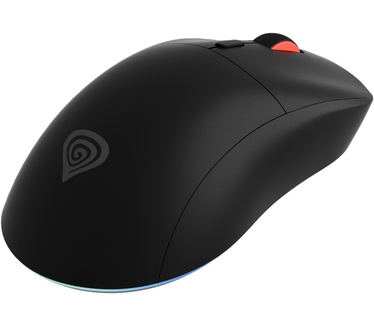 Genesis Zircon XIII