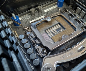 Cameratest Google Pixel 9 Pro - Macro