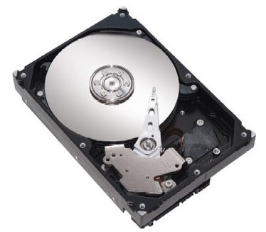 Seagate DiamondMax 21 STM3320620A, 320GB