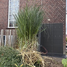 Afbeeldingslocatie: https://tweakers.net/i/8WcdQaN8q34djYJXIKrNVUnmffE=/232x232/filters:strip_icc():strip_exif()/f/image/Fqzz6I46MoptauRg2Jio6I1K.jpg?f=fotoalbum_tile