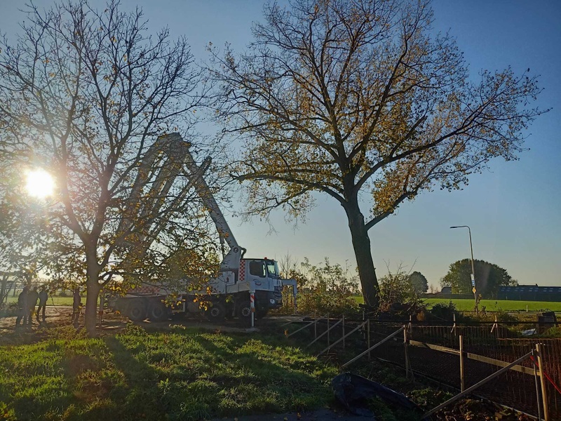 Afbeeldingslocatie: https://tweakers.net/i/8YLl3N8oyZbvA8eb_ZCM8n1VLEU=/800x/filters:strip_icc():strip_exif()/f/image/Jmsx4y5hsl5VOE08K02Pgq6O.jpg?f=fotoalbum_large