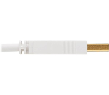 Tripp-Lite U022AB-006-WH