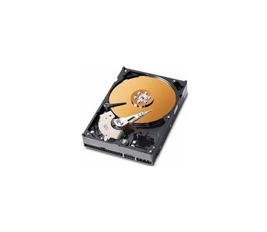MicroStorage 40GB IDE 3.5"
