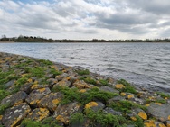 Phone 4a Pro cameratest - Hoofdcamera