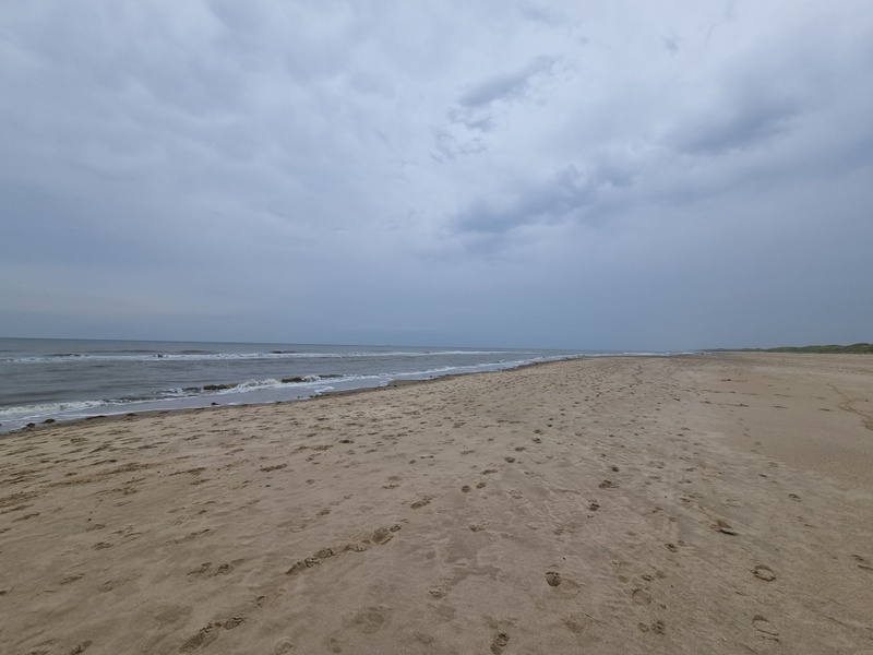Afbeeldingslocatie: https://tweakers.net/i/8aF2zFMSMFPZYYnWYWNHH9mrbN0=/800x/filters:strip_icc():strip_exif()/f/image/rCX9UEIiZhddNUXOoCqoIblG.jpg?f=fotoalbum_large