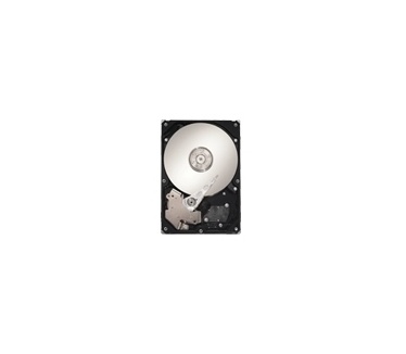 Maxtor DiamondMax 20 STM380215AS, 80GB