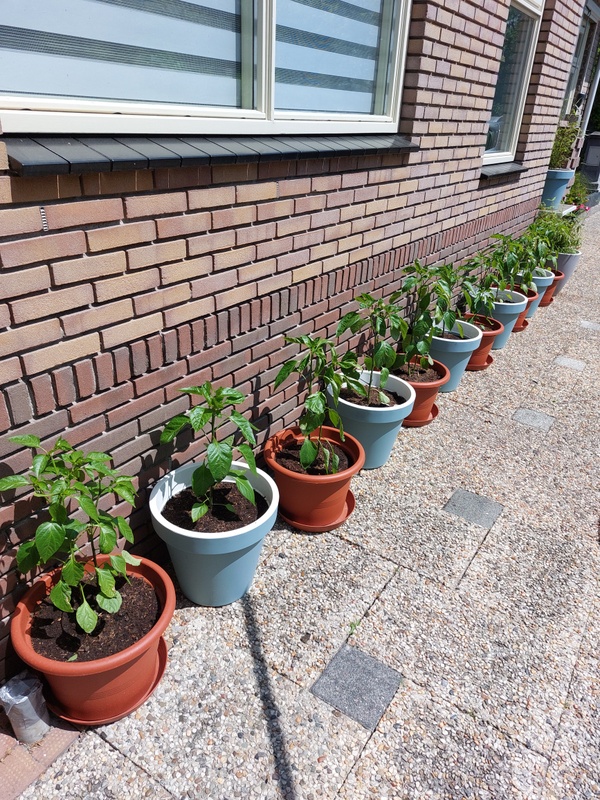 Afbeeldingslocatie: https://tweakers.net/i/8bXa3-IzUchGO3R3g68muwD_JC8=/x800/filters:strip_icc():strip_exif()/f/image/HxXmB8LR0NfFR2q25TqyAwAA.jpg?f=fotoalbum_large