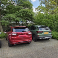 Afbeeldingslocatie: https://tweakers.net/i/8drAGvuxXkmiNIUzqmhh6yscQ6Y=/232x232/filters:strip_icc():strip_exif()/f/image/yrLXZkPYL2SyJ5fabaj5xzWL.jpg?f=fotoalbum_tile