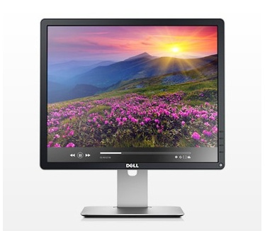 Dell P1914S