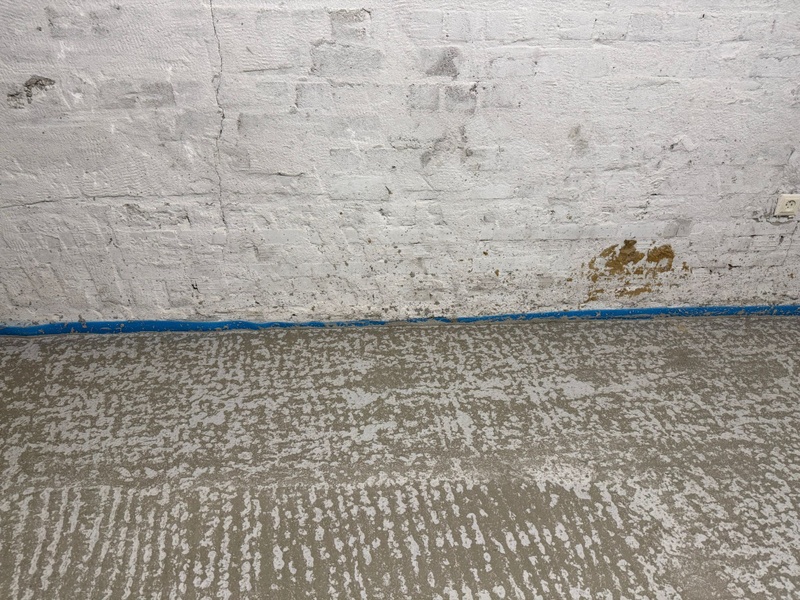 Afbeeldingslocatie: https://tweakers.net/i/8fadSVUkuYx8WBtkmDrGhSnwDbo=/800x/filters:strip_icc():strip_exif()/f/image/CIgqAaxxp1yIk24gYnhbM9wP.jpg?f=fotoalbum_large