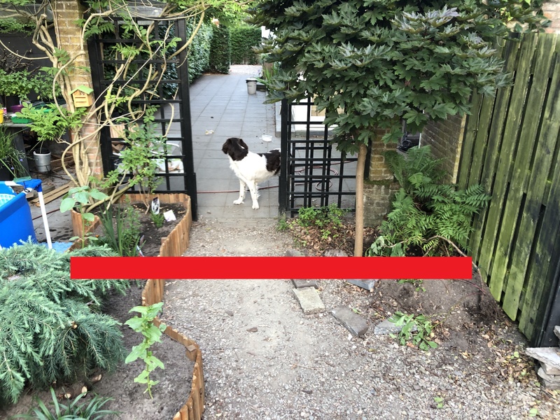 Afbeeldingslocatie: https://tweakers.net/i/8gpG-fvoj27KNCYPoOdbhonSoOU=/800x/filters:strip_icc():strip_exif()/f/image/PfyyTWzGPM1rfoAoxj97iumI.jpg?f=fotoalbum_large