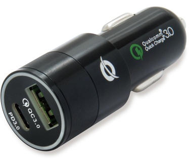 Conceptronic Carden