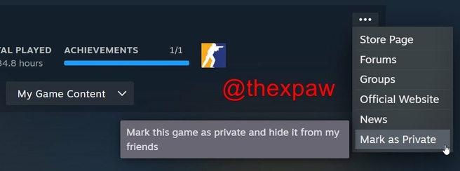 Steam mark as private