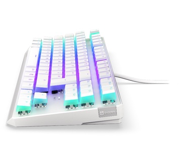 ENDORFY TKL