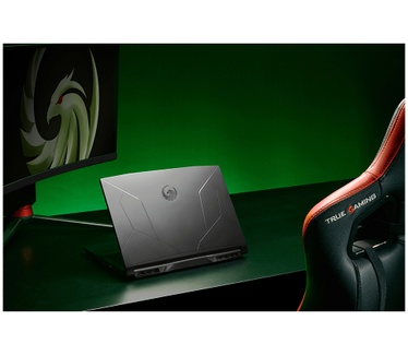 MSI 15 B5ED-024NL
