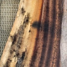 Afbeeldingslocatie: https://tweakers.net/i/8sC6WUoL1l2RKC_oHfv8WQeoDEk=/232x232/filters:strip_icc():strip_exif()/f/image/vtmXRQ6aXd2N0b5bmxzjTK2d.jpg?f=fotoalbum_tile