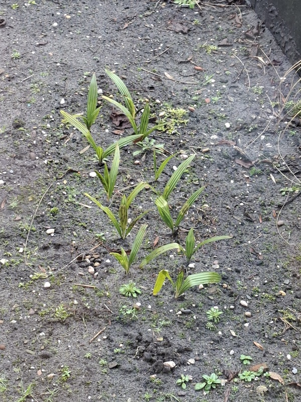 Afbeeldingslocatie: https://tweakers.net/i/8sRTEBdtLnLCGDpEk0bg1swwdVk=/x800/filters:strip_icc():strip_exif()/f/image/mHtCVwKEuCKFJBWTAGx0F8Gn.jpg?f=fotoalbum_large