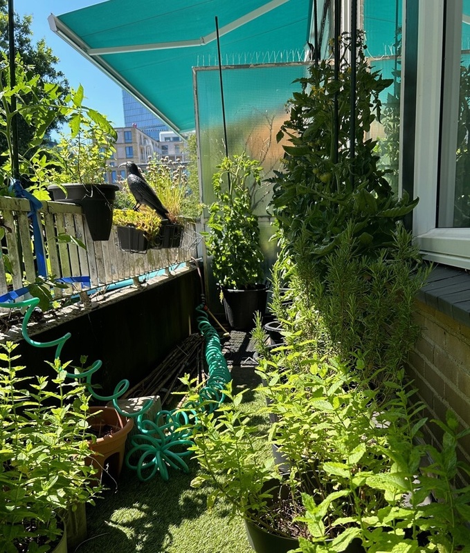 Afbeeldingslocatie: https://tweakers.net/i/8tSzeEs32NrqV2omhVmXs50fHP8=/x800/filters:strip_icc():strip_exif()/f/image/2AJHAa2SqFV1VPJ8cM4Y1qWB.jpg?f=fotoalbum_large