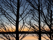 OnePlus 15 cameratest - 2x zoom