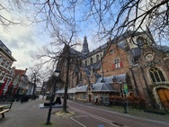 S21 en S21 Ultra ultragroothoekcamera