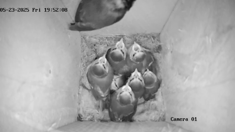 Afbeeldingslocatie: https://tweakers.net/i/8yKyJZFLzdbKNnzub0xPztL03ow=/800x/filters:strip_icc():strip_exif()/f/image/nv09dxrFPLVQZHWiWWlQConO.jpg?f=fotoalbum_large