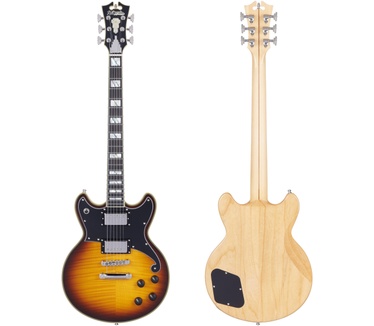 D'Angelico Guitars DELUXE BRIGHTON