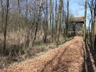 Overige foto's