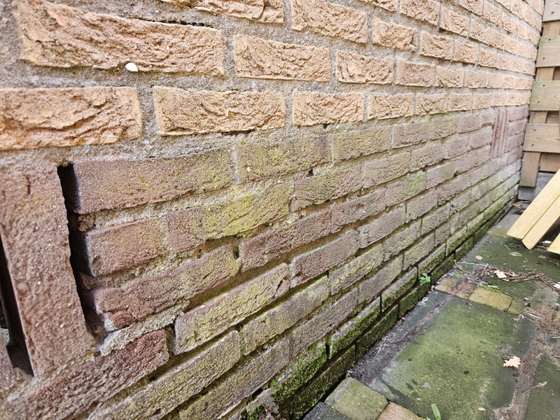 Afbeeldingslocatie: https://tweakers.net/i/90lKGNKHOox789Ln4AAG8md2-nM=/800x/filters:strip_icc():strip_exif()/f/image/pxtE1PojTsnTSeMXg8nhxDgP.jpg?f=fotoalbum_large
