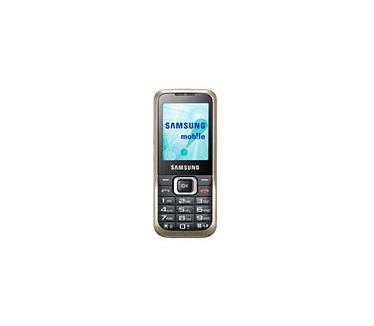 Samsung C3060 Goud