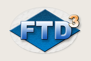 FTD logo (groot)
