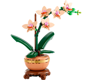 LEGO Botanicals Miniorchidee