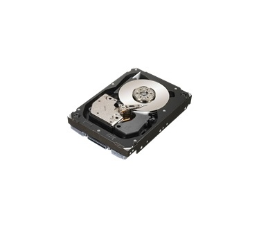 Seagate Cheetah NS 2, 300GB, 10000rpm