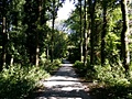 Samsung Galaxy Note 3 - camerasamples