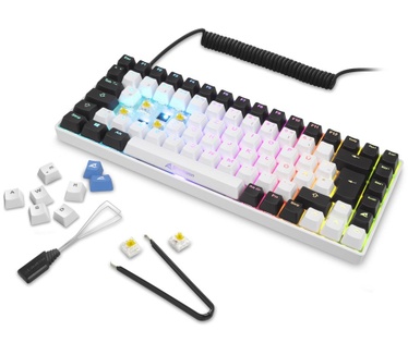 Sharkoon SKILLER SGK50 S3