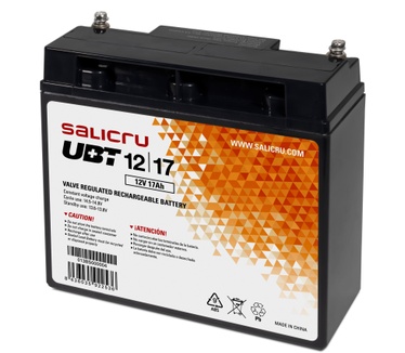 Salicru 013BS000004