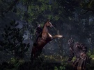 Witcher 3